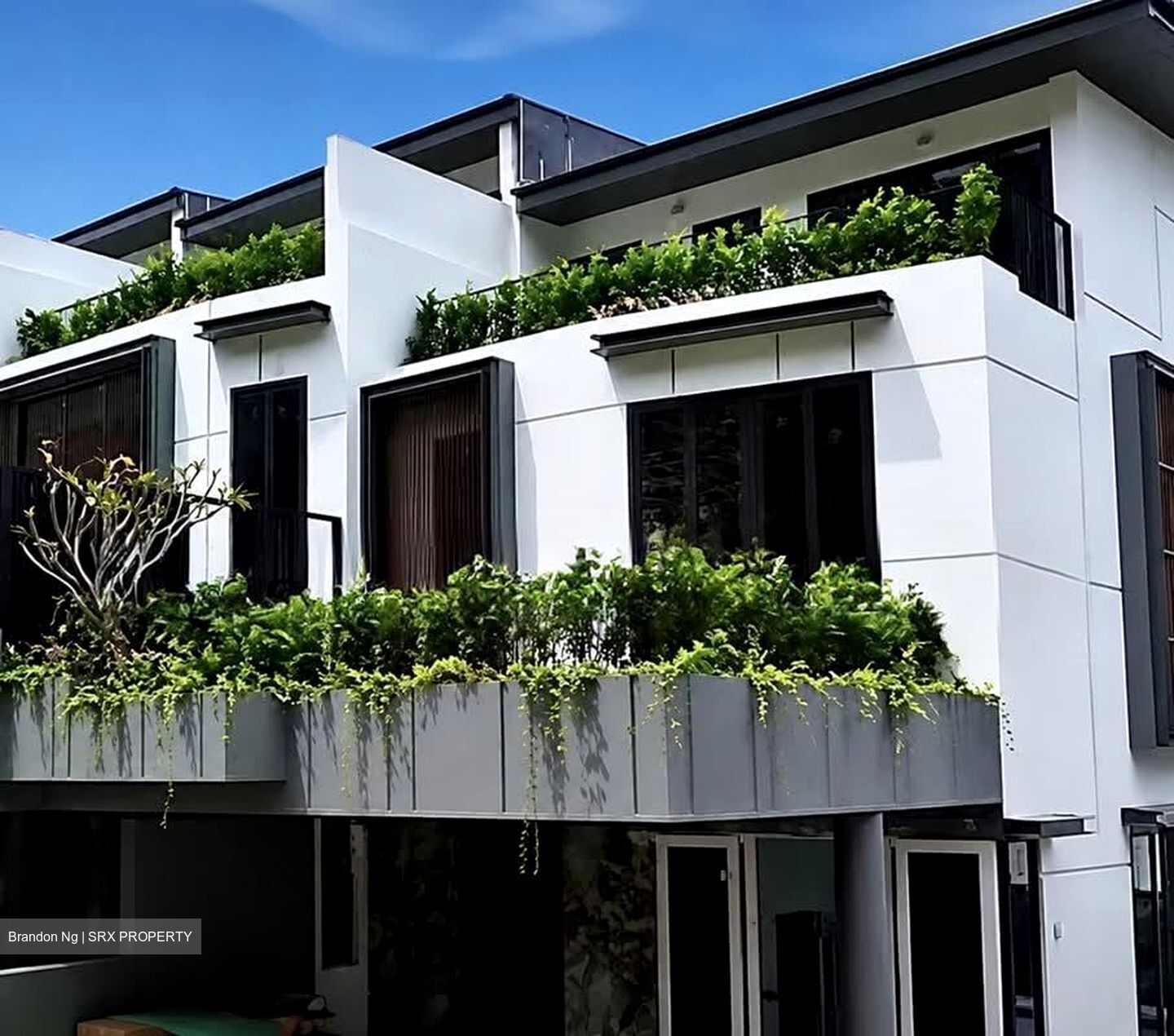 Lucky Hills (D16), Terrace #595113411